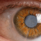 tratamiento para glaucoma1 85x85