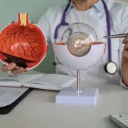 Oftalmólogo en León Gto señalando un modelo anatómico del ojo para explicar al paciente su padecimiento o cirugía.