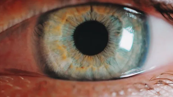 Primer plano detallado de la estructura de un ojo verde en un paciente bajo control por retinopatía diabética hoy