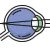 An icon of an eyeball with internal structures, used for patient education by an ophthalmologist in Mexico.